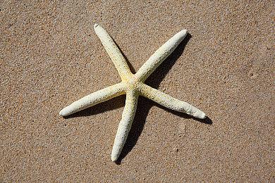 《时间旅者：重生曙光》DLSS4光追演示 画面真渗人